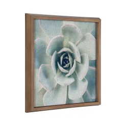 Kate & Laurel Bulletin<F2 Images Succulent 7 Cork Bulletin Board, Gold Frame, 1' x 1' (222048)