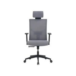 La-Z-Boy Office Chairs<Mesh Back Molded Foam Computer and Desk Chair, Gray (51448)