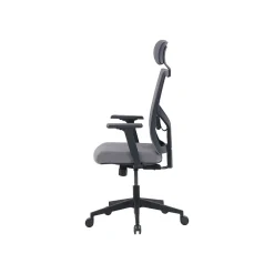 La-Z-Boy Office Chairs<Mesh Back Molded Foam Computer and Desk Chair, Gray (51448)
