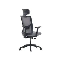 La-Z-Boy Office Chairs<Mesh Back Molded Foam Computer and Desk Chair, Gray (51448)