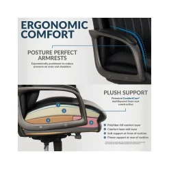 La-Z-Boy Ergonomic Chairs<Nova Ergonomic Polyurethane Swivel Executive Chair, (52372-BLK)