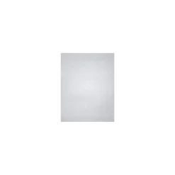 LUX Card Stock<105 lb. Cardstock Paper, 11" x 17", Silver Metallic, 50 Sheets/Ream (1117-C-M06-50)