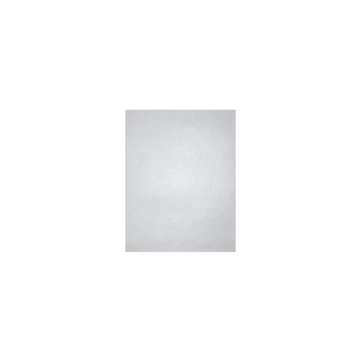 LUX Card Stock<105 lb. Cardstock Paper, 11" x 17", Silver Metallic, 50 Sheets/Ream (1117-C-M06-50)