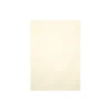 LUX Card Stock<105 lb. Cardstock Paper, 8.5" x 11", Champagne Metallic, 50 Sheets/Pack (81211-C-M08-50)