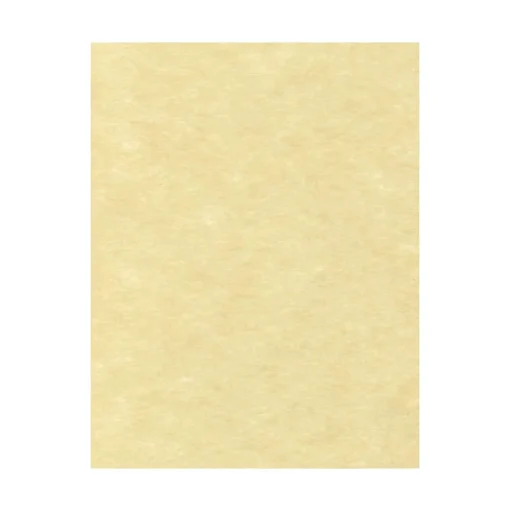 LUX Card Stock<65 lb. Cardstock Paper, 8.5" x 11", Gold Parchment, 50 Sheets/Pack (81211-C-41-50)