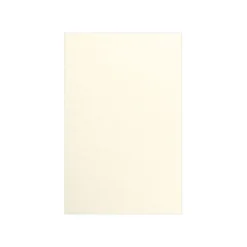 LUX Card Stock<105 lb. Cardstock Paper, 11" x 17", Champagne Metallic, 1000 Sheets/Pack (1117-C-CHAM1000)