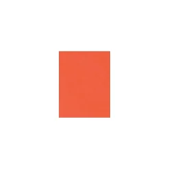 LUX Card Stock<100 lb. Cardstock Paper, 11" x 17", Tangerine, 250 Sheets/Ream (1117-C-112-250)