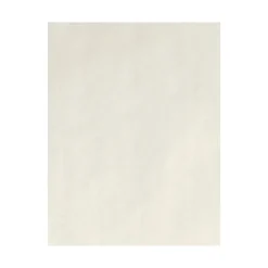 LUX Card Stock<80 lb. Cardstock Paper, 8.5" x 11", Natural, 250 Sheets/Pack (81211-C-99-250)