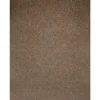 LUX Card Stock<105 lb. Cardstock Paper, 13" x 19", Bronze Metallic, 250 Sheets/Pack (1319-C-M22-250)