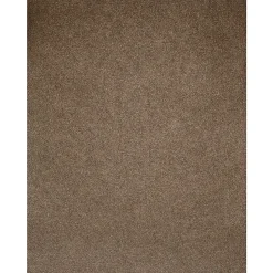 LUX Card Stock<105 lb. Cardstock Paper, 13" x 19", Bronze Metallic, 250 Sheets/Pack (1319-C-M22-250)