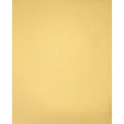 LUX Card Stock<105 lb. Cardstock Paper, 8.5" x 11", Gold Metallic, 250 Sheets/Pack (81211-C-40-250)