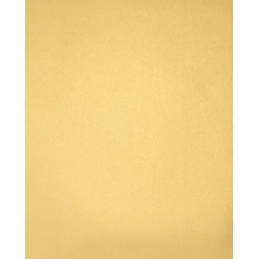 LUX Card Stock<105 lb. Cardstock Paper, 8.5" x 11", Gold Metallic, 250 Sheets/Pack (81211-C-40-250)