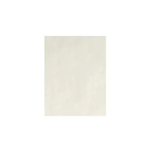LUX Card Stock<90 lb. Cardstock Paper, 8.5" x 11", Natural White, 1000 Sheets/Pack (81211-C-SN-1000)