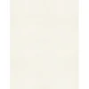 LUX Card Stock<105 lb. Cardstock Paper, 8.5" x 11", Quartz Metallic, 1000 Sheets/Pack (81211-C-72-1000)
