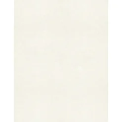 LUX Card Stock<105 lb. Cardstock Paper, 8.5" x 11", Quartz Metallic, 1000 Sheets/Pack (81211-C-72-1000)