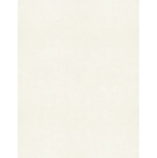LUX Card Stock<105 lb. Cardstock Paper, 8.5" x 11", Quartz Metallic, 1000 Sheets/Pack (81211-C-72-1000)