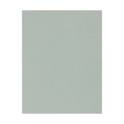 LUX Card Stock<100 lb. Cardstock Paper, 8.5" x 11", Slate, 50 Sheets/Pack (81211-C-79-50)