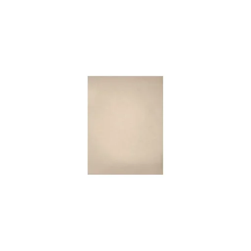 LUX Card Stock<105 lb. Cardstock Paper, 13" x 19", Metallic, 1000 Sheets/Pack (1319-C-M09-1000)