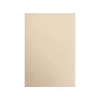 LUX Card Stock<80 lb. Paper, 13" x 19", Taupe Metallic, 250 Sheets/Pack (1319-P-M09-250)