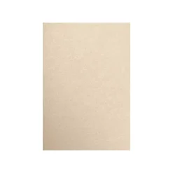 LUX Card Stock<80 lb. Paper, 13" x 19", Taupe Metallic, 250 Sheets/Pack (1319-P-M09-250)