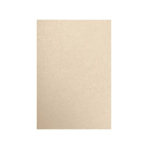 LUX Card Stock<80 lb. Paper, 13" x 19", Taupe Metallic, 250 Sheets/Pack (1319-P-M09-250)