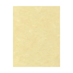 LUX Card Stock<Parchment 65 lb. Cardstock Paper, 8.5" x 11", Gold Parchment, 1000 Sheets/Pack (81211-C-41-1000)