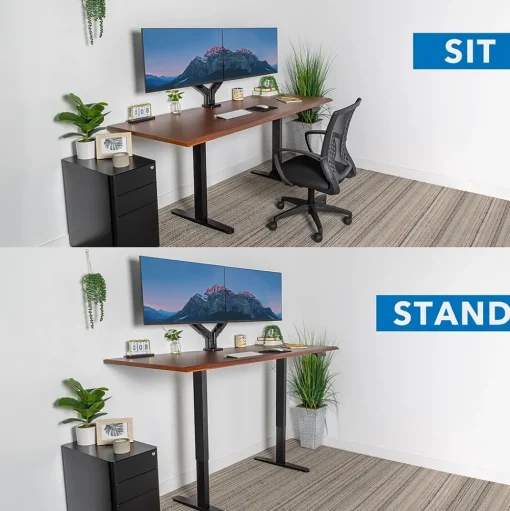 Mount-It! Standing Desks<Dual Motor 72"W Electric Adjustable Standing Desk, Black/Hazelnut Brown (MI-18126)