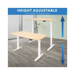 Mount-It! Standing Desks<55"W Electric Rectangular Adjustable Standing Desk, (MI-18097)