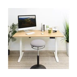 Mount-It! Standing Desks<55"W Electric Rectangular Adjustable Standing Desk, (MI-18097)