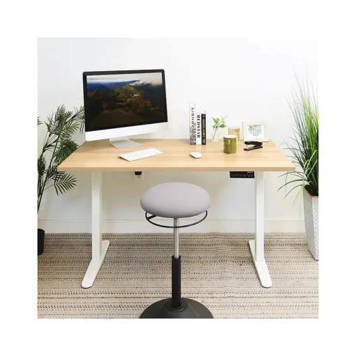 Mount-It! Standing Desks<55"W Electric Rectangular Adjustable Standing Desk, (MI-18097)