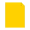 Neenah Paper Multipurpose Paper<Neenah Astrobrights Paper, 8.5"x14, 60lb., Text, Solar Yellow 5000/Carton (22532W)