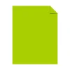 Neenah Paper Card Stock<Astrobrights 100 lb. Cover Paper, 12" x 18", Terra Green, 500 Sheets/Case (45293N)