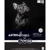 Neenah Paper Card Stock<Creative Collection 65 lb. Cardstock Paper, 8.5" x 11", Black, 50 Sheets/Ream (91333-01)