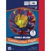 Pacon Construction Paper<9" x 12" Construction Paper, Festive Red, 50 Sheets/Pack (P103431)