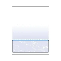 Paris Security & Carbon<DocuGard Standard 8.5" x 11" Security Check On Bottom, 24 lbs., Blue, 500 Sheets/Ream, 2500/Carton (04517P)
