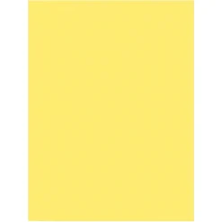 Prang Construction Paper<9" x 12" Construction Paper, Yellow, 50 Sheets/Pack (P8403-0001)