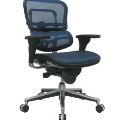 RAYNOR GROUP Office Chairs<Raynor Eurotech Ergo human Mesh Mid Back Task Chair, Blue
