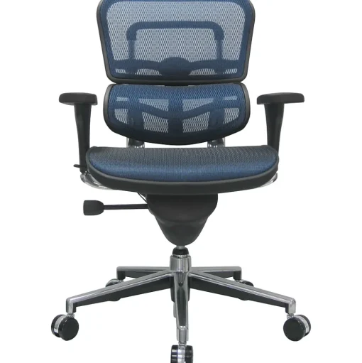 RAYNOR GROUP Office Chairs<Raynor Eurotech Ergo human Mesh Mid Back Task Chair, Blue