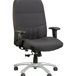 RAYNOR GROUP Office Chairs<Raynor Eurotech Excelsior Fabric Big and Tall Manager's Chair, Black (BM90000-BLK)
