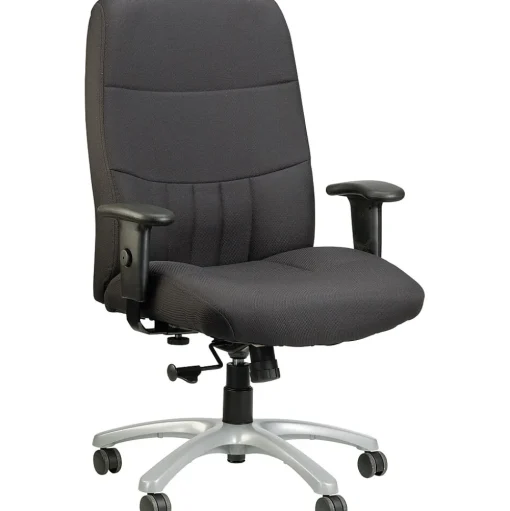 RAYNOR GROUP Office Chairs<Raynor Eurotech Excelsior Fabric Big and Tall Manager's Chair, Black (BM90000-BLK)