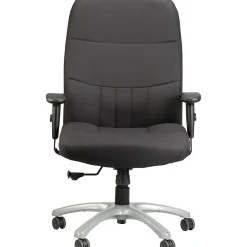 RAYNOR GROUP Office Chairs<Raynor Eurotech Excelsior Fabric Big and Tall Manager's Chair, Black (BM90000-BLK)