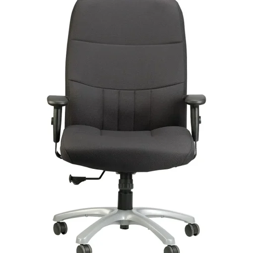 RAYNOR GROUP Office Chairs<Raynor Eurotech Excelsior Fabric Big and Tall Manager's Chair, Black (BM90000-BLK)