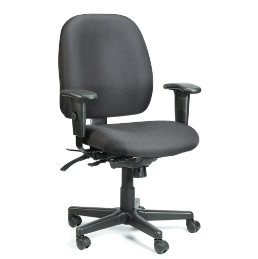 Eurotech Office Chairs<Raynor Fabric 4 x 4 Multi-function Task Chair, Black