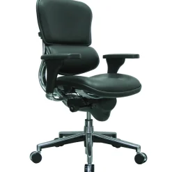 Eurotech Office Chairs<Raynor Leather Mid Back Ergo human Chair, Black