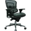 Eurotech Office Chairs<Raynor Mesh/Leather Mid Back Ergo human Chair, Black