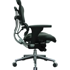 Eurotech Office Chairs<Raynor Mesh/Leather Mid Back Ergo human Chair, Black