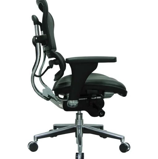Eurotech Office Chairs<Raynor Mesh/Leather Mid Back Ergo human Chair, Black