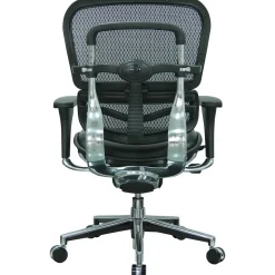 Eurotech Office Chairs<Raynor Mesh/Leather Mid Back Ergo human Chair, Black