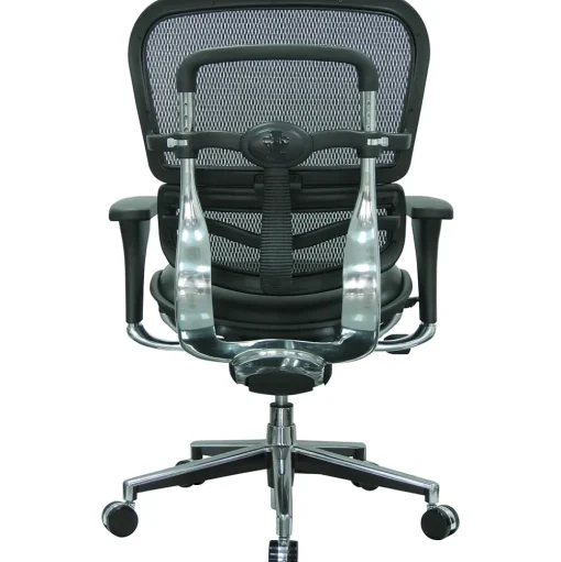 Eurotech Office Chairs<Raynor Mesh/Leather Mid Back Ergo human Chair, Black