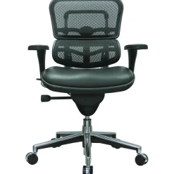 Eurotech Office Chairs<Raynor Mesh/Leather Mid Back Ergo human Chair, Black